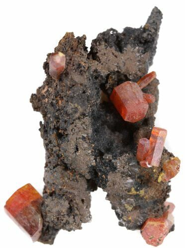 Red Vanadinite Crystals on Manganese Oxide - Morocco #38472